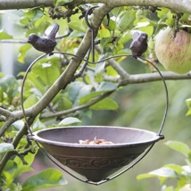 bird feeder with hook