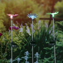 Solar garden stake light height: 75cm