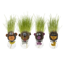 grass head  designs: dog, pig, mokey, duck