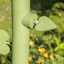 Gartendusche Sonnenblume "Flowershower" Höhe ca. 217 cm, *exklusives Design*
