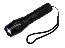 LED Taschenlampe ~ 300 Lumen Maße: ca. 13,5 x 3,5cm