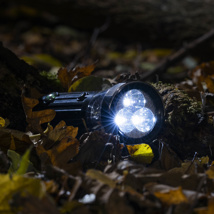 led torch with crank